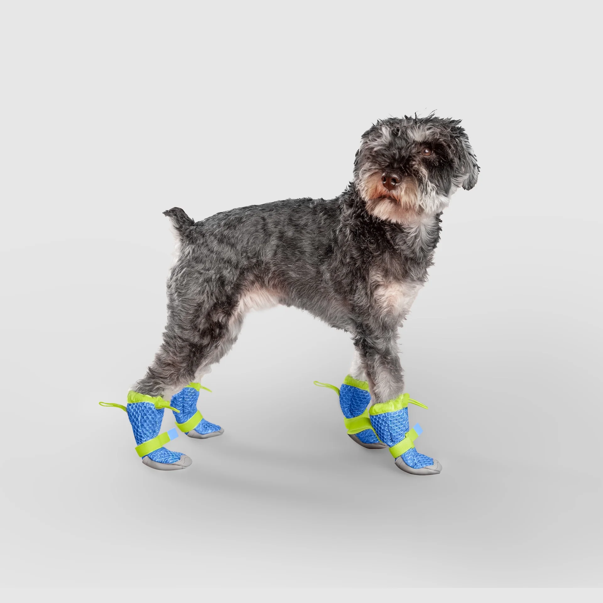 Best Selling Dog Clothes & Accessories